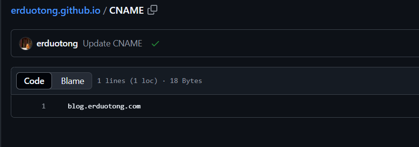 IMG-20251018 215548583-2.4 Github Pages配置自定义域失效.png